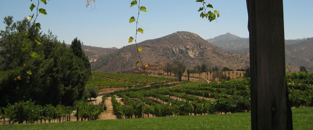 Orfila