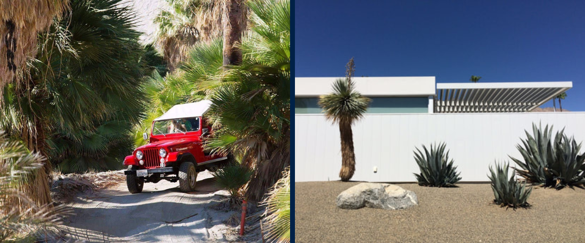 Palm Springs DO