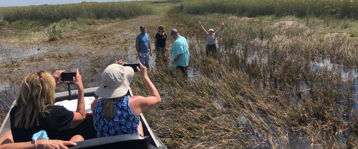 The Everglades