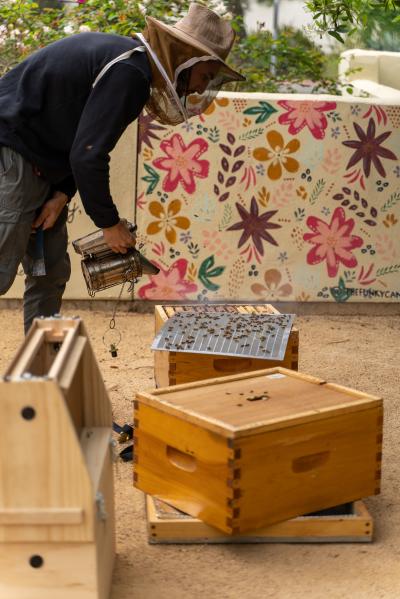 Estancia Apiary