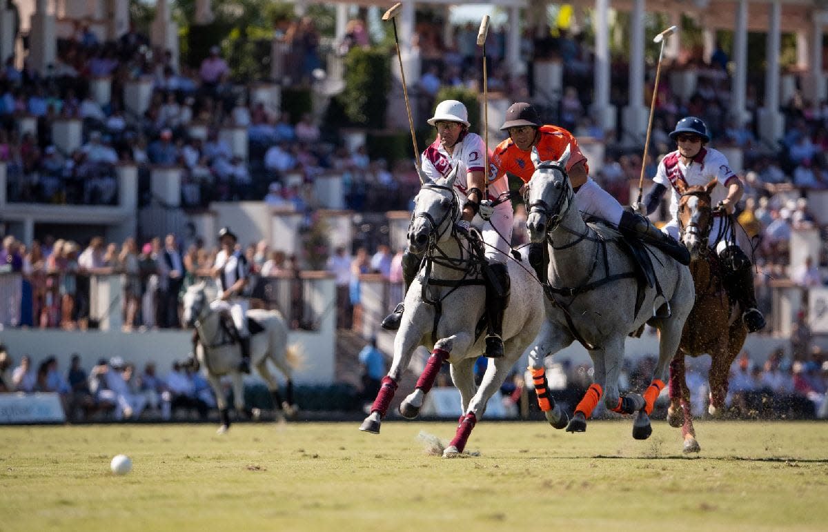International Polo Club