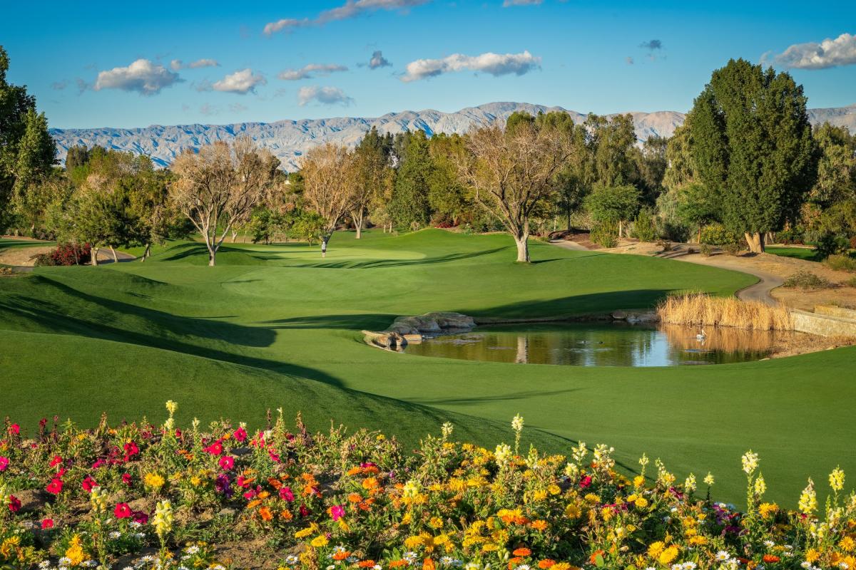 Tommy Bahama Miramonte Golf