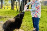 Wild Beginnings: Meet AWCC’s Youngest Residents