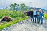 Feed a Brown Bear at AWCC