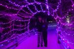 Zoo Lights