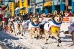 Iditarod Musher&apos;s Banquet and Musher Meet &amp; Greet