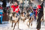 Running of the Reindeer