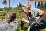 Take a Walk on the WILD Side Tour with Animal Feeding