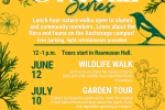 UAA Summer Stroll Series