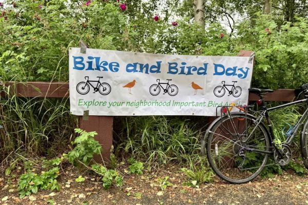 Audubon Alaska Bird Ride