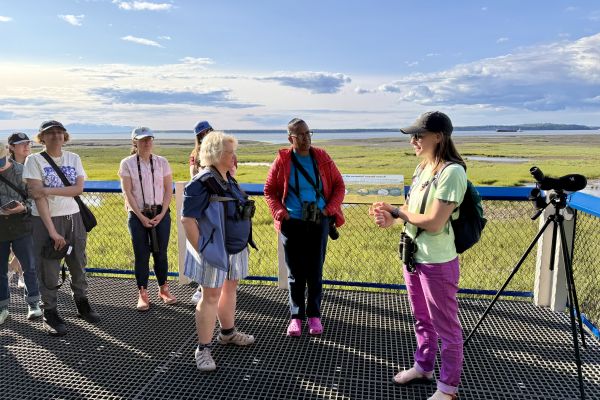 Let's Go Birding Together, Alaska!