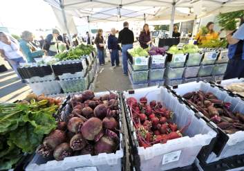 Alaska grown vegetables at farmers market