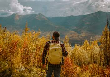 Mile High Saddle Trail Fall