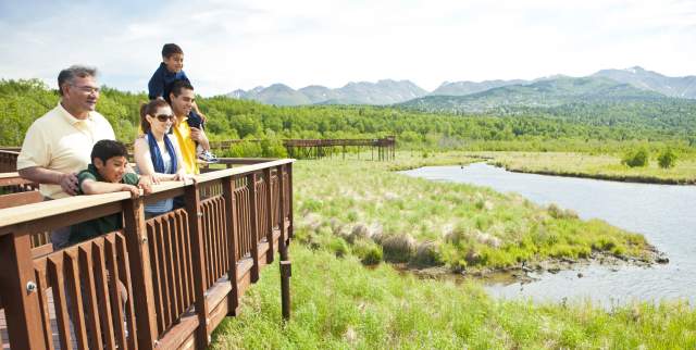 Wildlife viewing on the Potter Marsh boardwalk