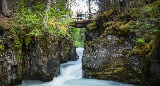 Winner Creek Trail explores the streams of Chugach National Forest.