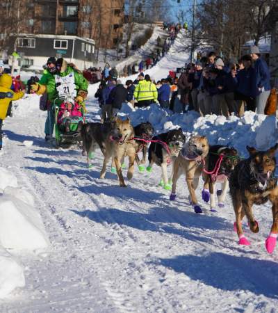 Iditarod Trail Sled Dog Race, Ceremonial Start in Anchorage, 2024