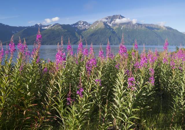 Bird Creek | Visit Anchorage