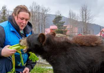 Director Sarah Howard feeds a rescued young bear at the Alaska Wildlife Conservation Center