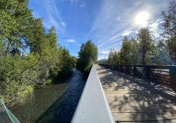 View of Ship Creek Trail