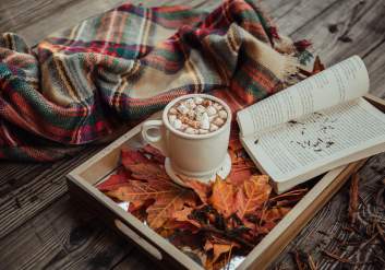 Cozy in Fall, Hot Cocoa, Book, Blanket