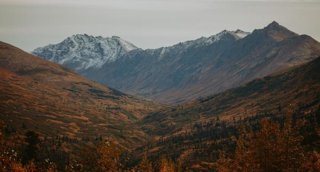 Arctic Valley, Alaska Image by Elise Giordano