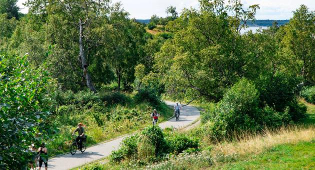 People walking and biking along the Coastal Trail in Kincaid Park