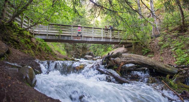 Chugach State Park's McHugh Creek bridge