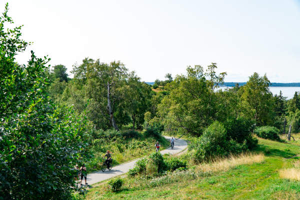 Kincaid Trails