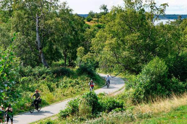 People walking and biking along the Coastal Trail in Kincaid Park