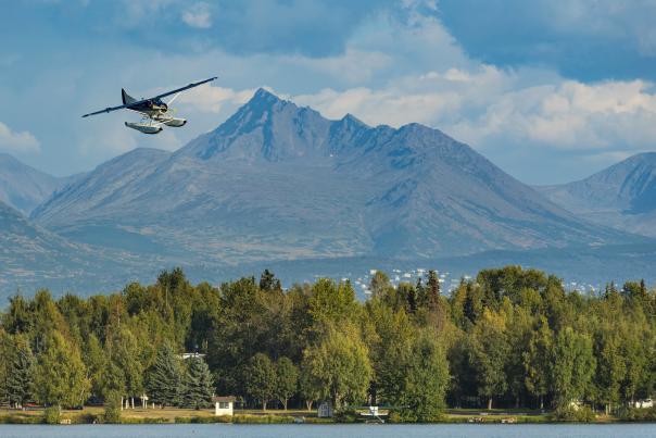 Flightseeing Plane