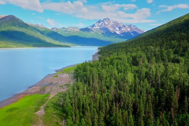 Eklutna Lake and the Chugach Mountains as seen from the air.