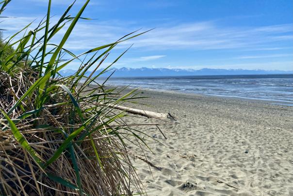 Kincaid Beach shoreline