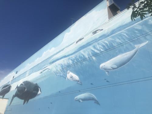 Whale Mural