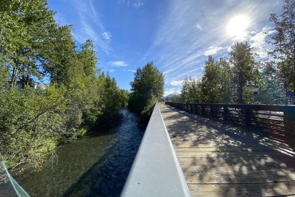 View of Ship Creek Trail