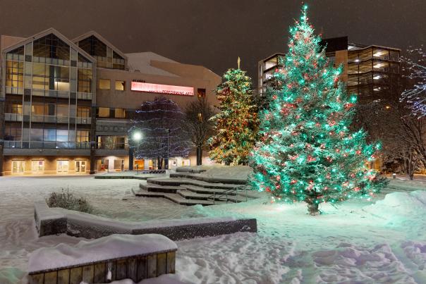Christmas Tree Town Square Park