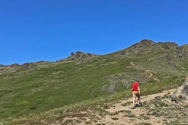 The path to Mount Gordon Lyon from Arctic Valley.