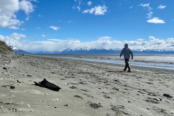 A person walks the Cook Inlet shoreline near Kincaid Park.