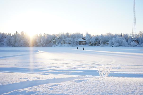 Winter at Westchester