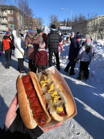 Iditarod Trail Sled Dog Race