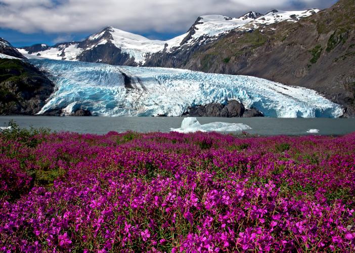 PortageFirew565A4050web