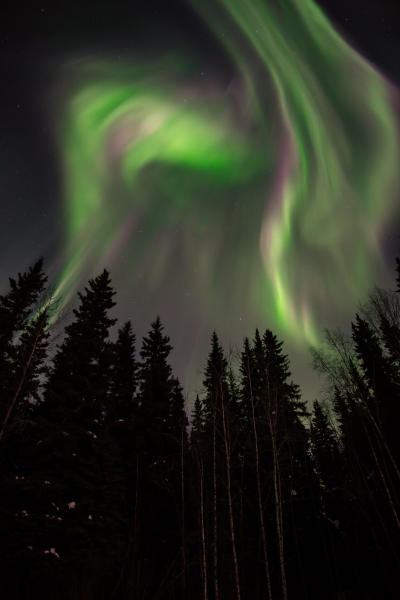 Jeremy Martin, Northern Lights Image #4