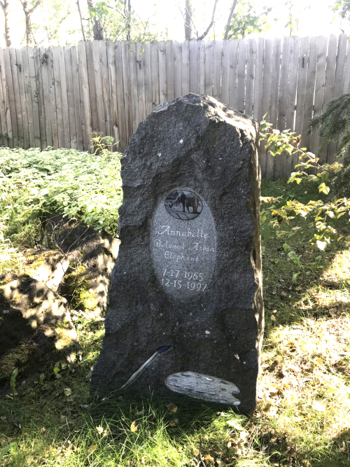 AK Zoo_Annabella_Beth Bragg