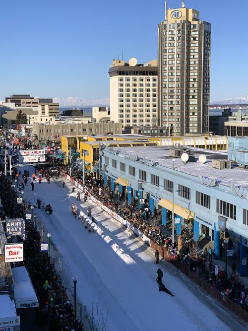 Iditarod Trail Sled Dog Race 2024