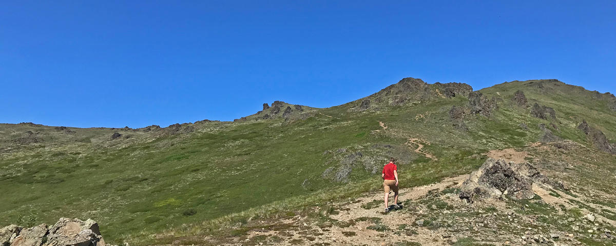 Berry Picking at Arctic Valley