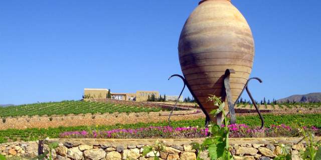 Bodegas Ánfora Enix