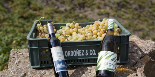Bodegas Jorge Ordóñez & Co