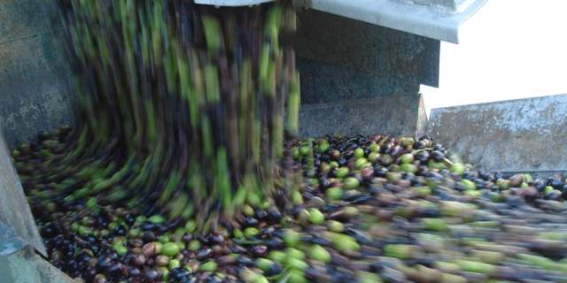 Aceites Bañón