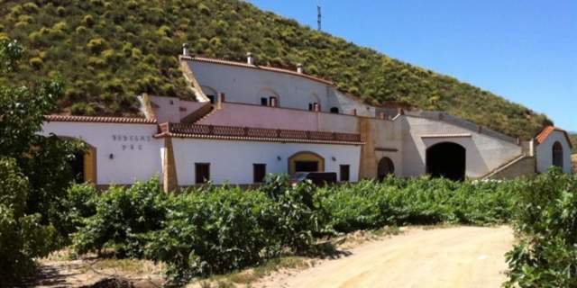 Bodegas Palenzuela García
