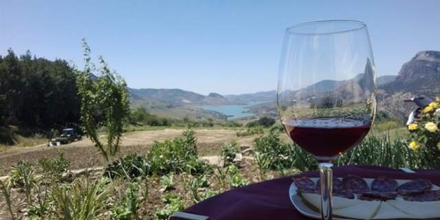 Bodega Cuesta de la Viña