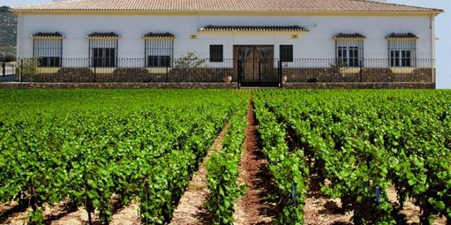 Bodegas Campoameno